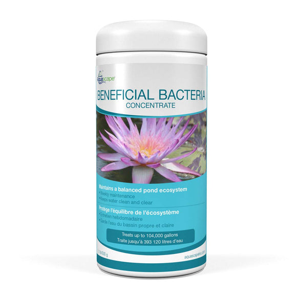 Aquascape 98949 Beneficial Bacteria Concentrate for Pond and Water
