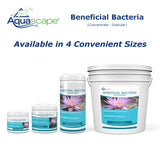 Aquascape 98949 Beneficial Bacteria Concentrate for Pond and Water